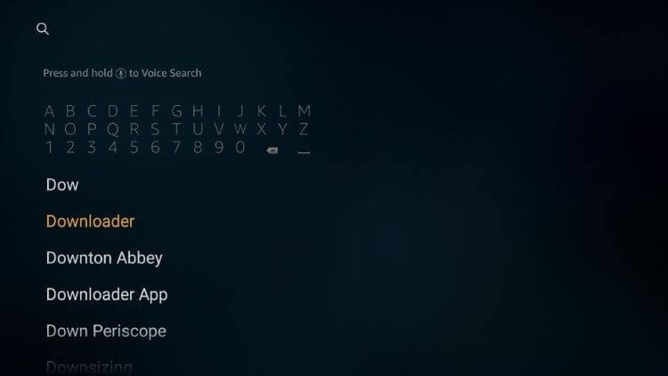 Set IPTV : 5 Steps to Set IPTV on Your Device Correctly 5 Downloader Firestick